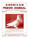 Magazine Cover